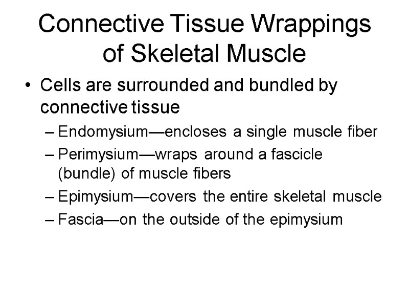 Connective Tissue Wrappings of Skeletal Muscle Cells are surrounded and bundled by connective tissue